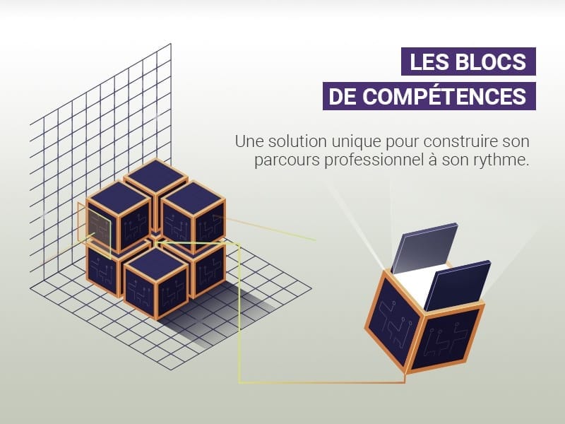 contenu du programme 3 Blocs de competences
