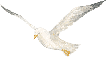 elementor off canvas bird right 3